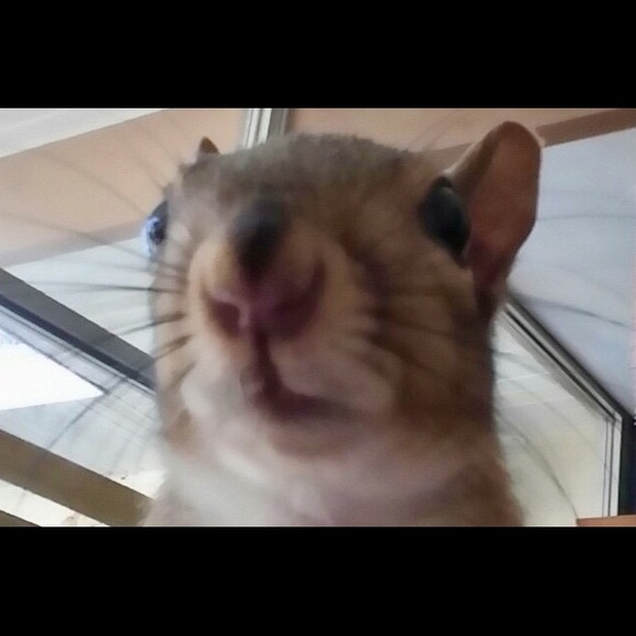 Meet your Posher - Picture 3 of 3